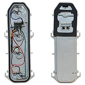 Renault Clio II 1998-2005 Fassungen Rücklicht Links und Rechts
