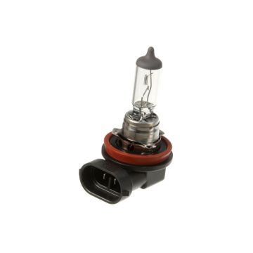 H11 Philips Halogeen Lamp