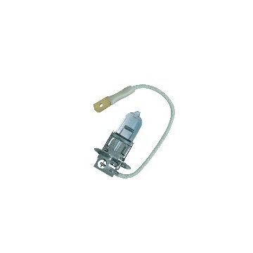H3 Halogen Lamp