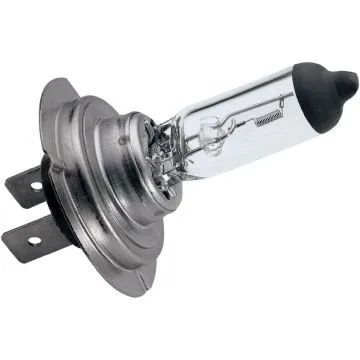 H7 Halogenlampe