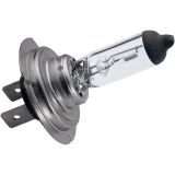 H7 Halogeen Lamp